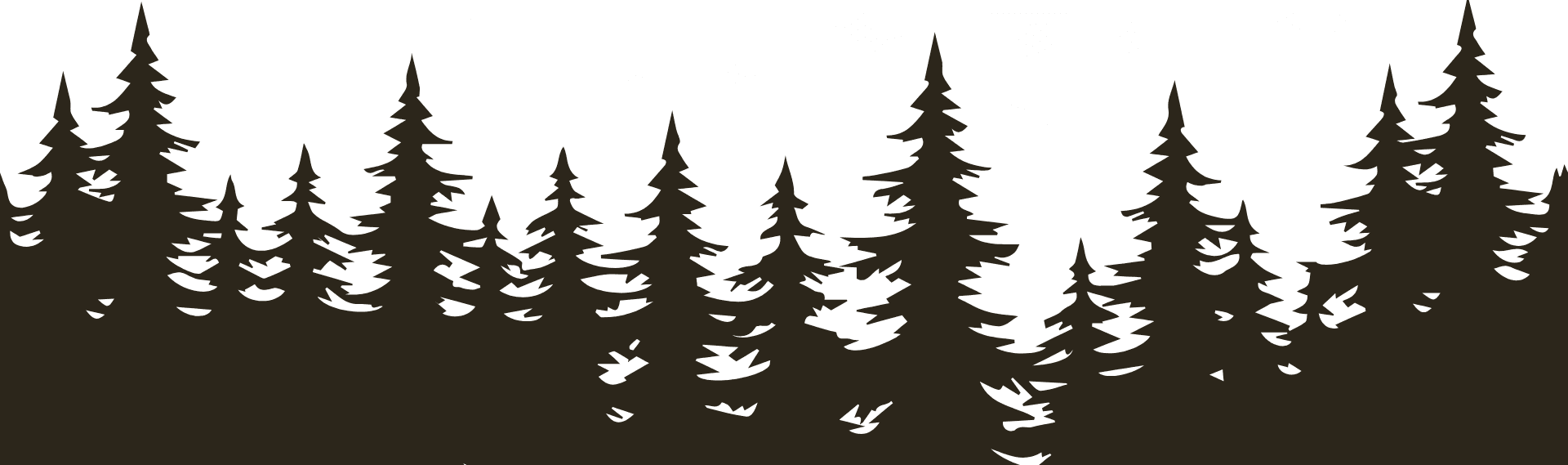 Silhouette of tall pine trees against a white background.
