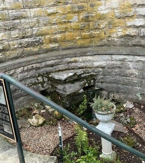 A stone well surrounded by moss, plants, and a decorative pedestal in a rustic setting.