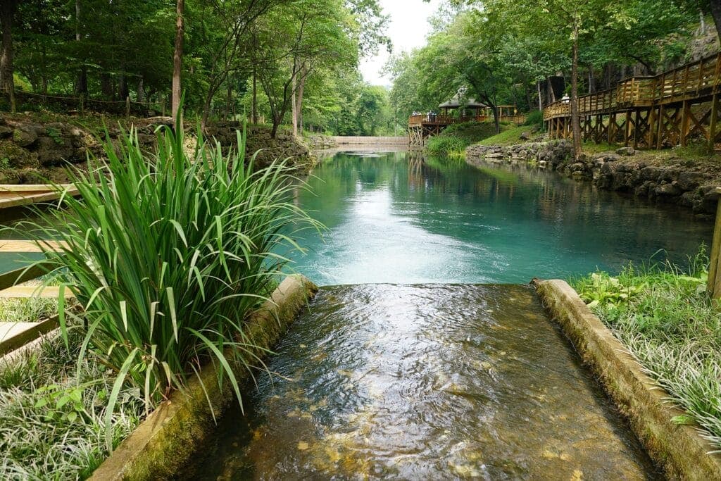 A peaceful river surrounded by lush greenery and wooden walkways.