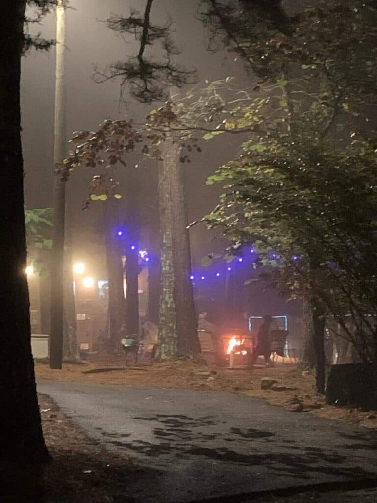 A misty path lined with trees and string lights leads to a warm fire in the distance.