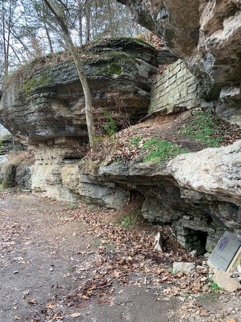 A rocky outcrop with overhanging cliffs and a small, dark opening at the base, surrounded by fallen leaves and sparse vegetation.