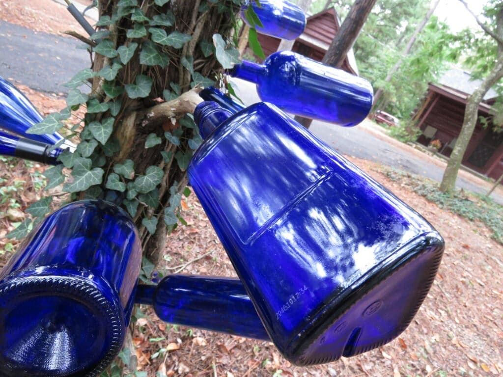 Blue glass bottles are creatively hung from a tree amidst ivy and a forested background.
