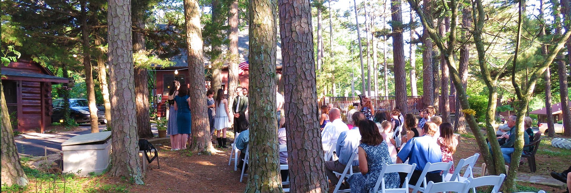A wedding ceremony taking place outdoors among tall pine trees, with guests seated on white chairs.