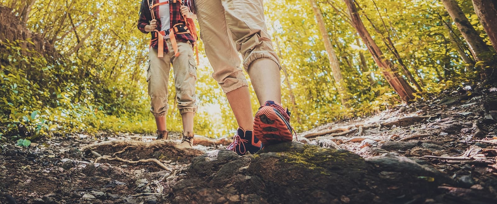 Two hikers navigate a rocky trail in a sunlit forest. Two hikers navigate a rocky trail in a sunlit forest.