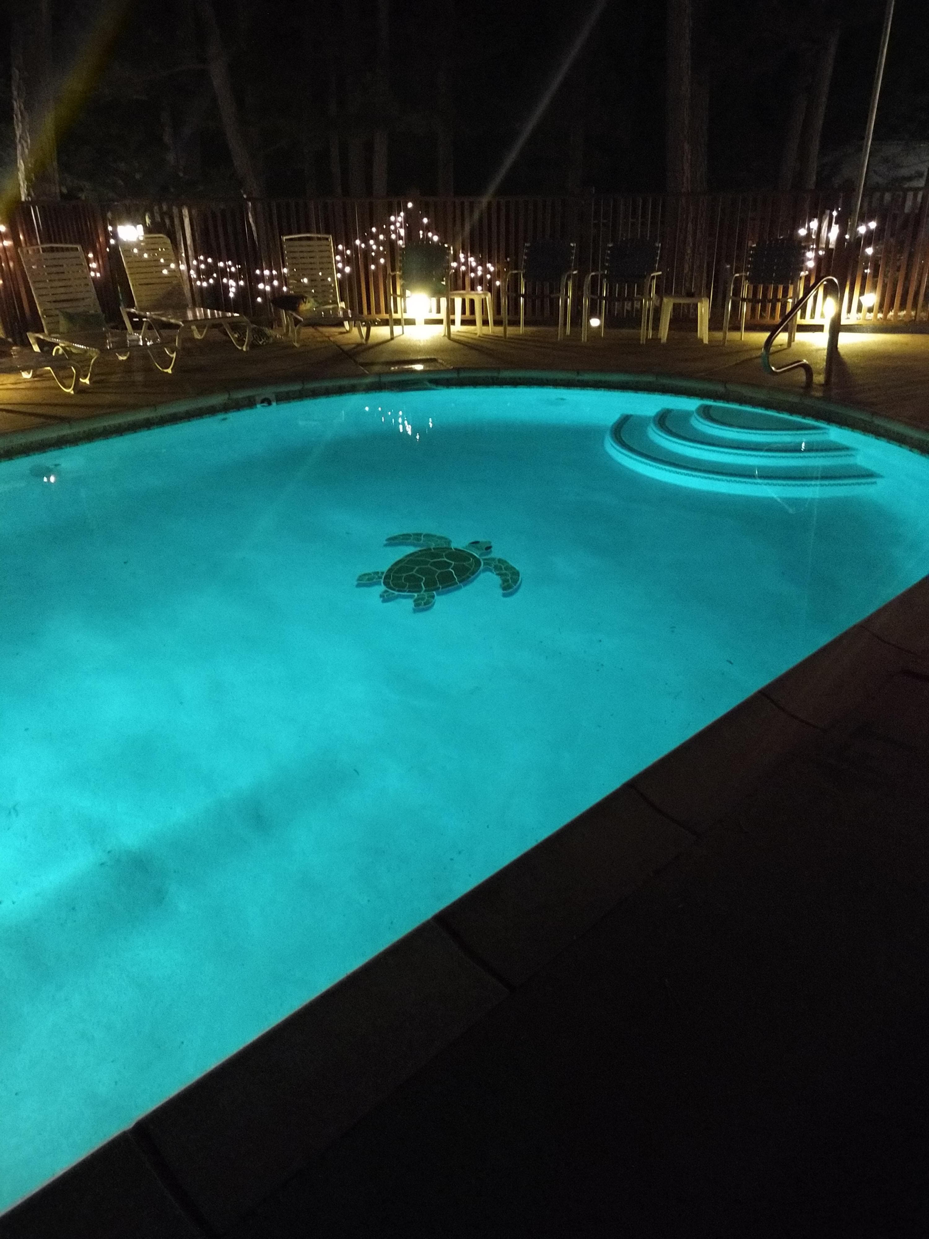 A lit swimming pool at night featuring a turtle design on the bottom.