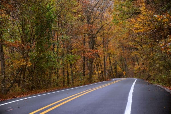 Winding road surrounded by colorful autumn foliage.