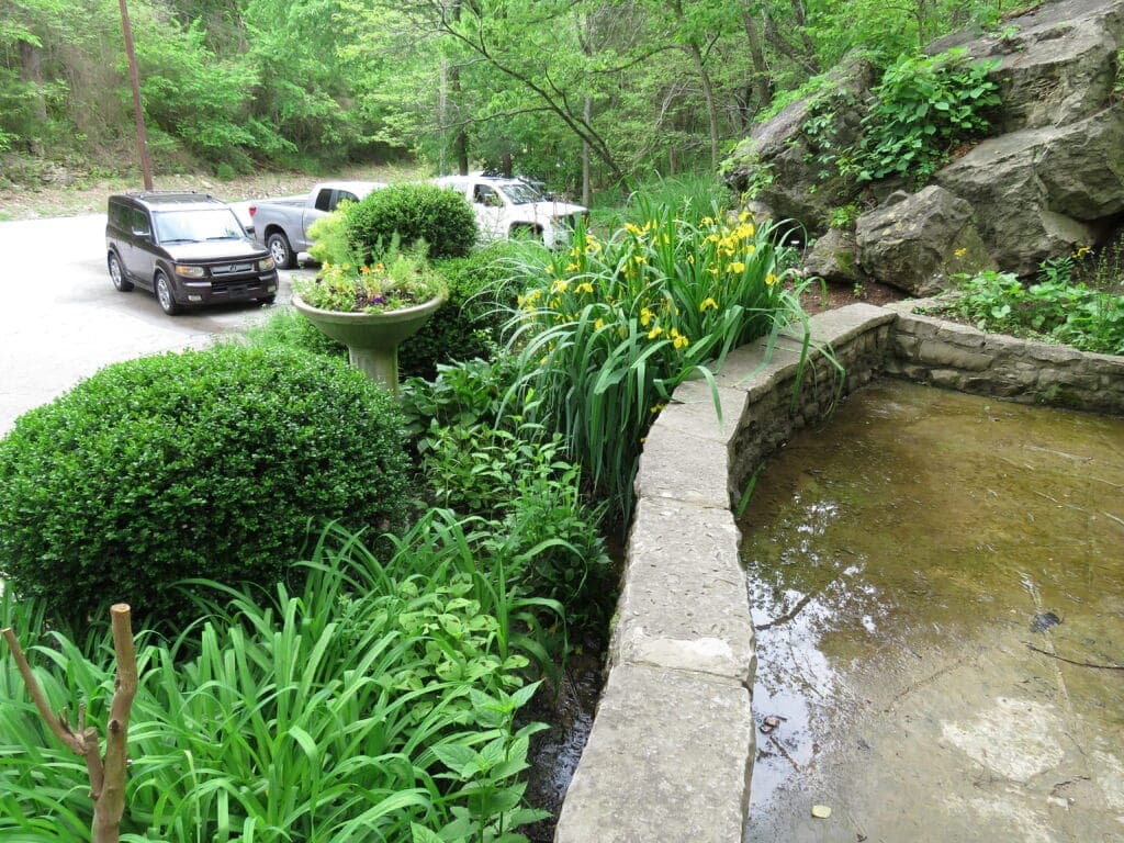 A stone-bordered pond surrounded by greenery and yellow flowers, with parked cars in the background.