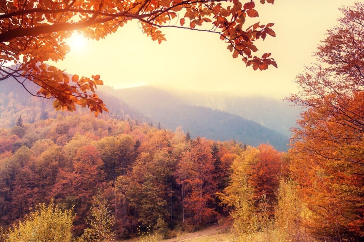 Autumn foliage blankets the hills under a soft, glowing sun.
