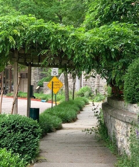 A leafy archway frames a pathway alongside a caution sign indicating a speed limit of 15.
