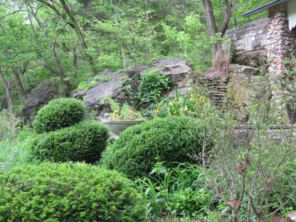 A lush garden featuring rounded shrubs and a rocky backdrop.